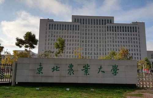 東北農(nóng)業(yè)大學繼續(xù)教育學院