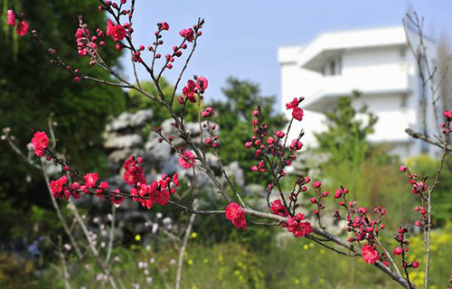 凱里市黃岡實驗學(xué)校