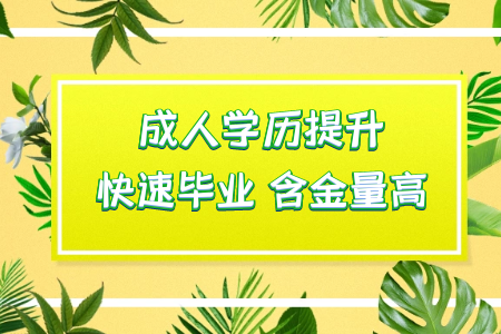 6個不用加班統(tǒng)考專升本的專業(yè)并且畢業(yè)之后還工作穩(wěn)定