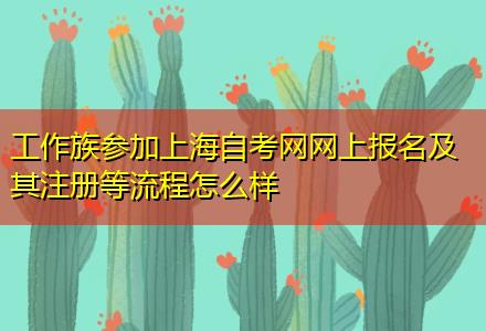 工作族參加上海自考網(wǎng)網(wǎng)上報(bào)名及其注冊(cè)等流程怎么樣