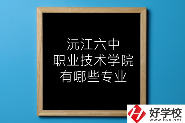 湖南沅江六中職業(yè)技術(shù)學(xué)院有哪些專業(yè)？