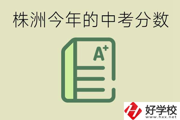 株洲今年中考多少分能上高中？沒(méi)考上有什么選擇？