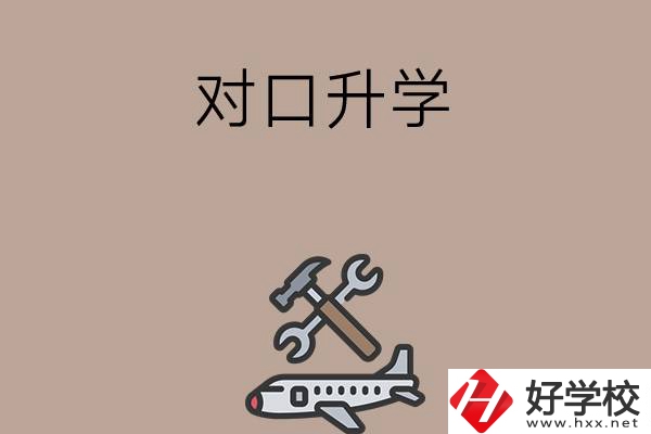 職高學(xué)生參加湖南省對口升學(xué)，有什么本科可以報(bào)考？