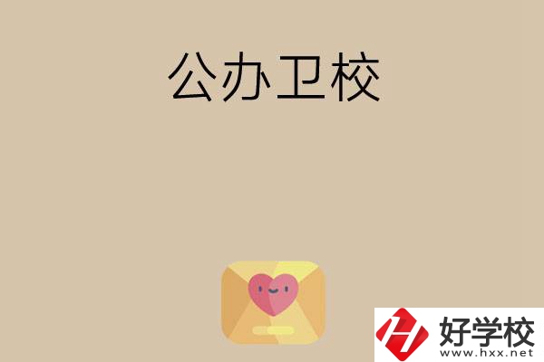 想在湖南上公辦衛(wèi)校？這所學(xué)校值得一看