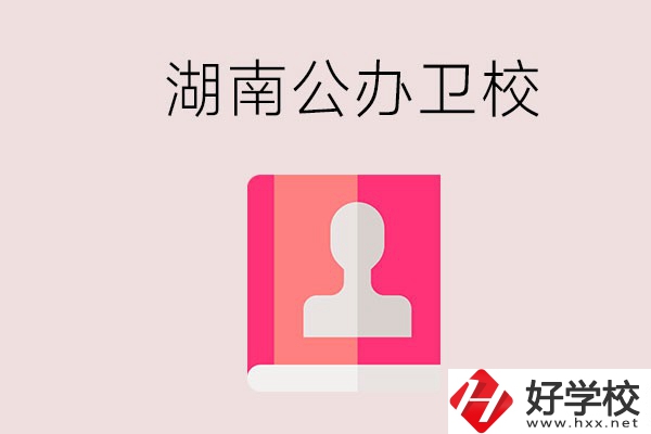 想在湖南上公辦衛(wèi)校可以選擇哪些學(xué)校？