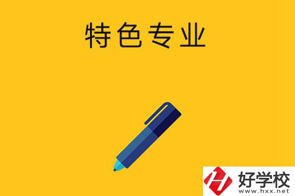 湖南的中職學(xué)校有哪些比較有特色的專業(yè)？