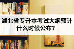 湖北省專升本考試大綱預(yù)計(jì)什么時(shí)候公布？現(xiàn)階段怎么備考比較好？