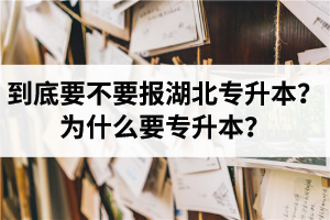 到底要不要報湖北專升本？為什么要專升本？