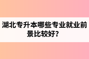 湖北專升本哪些專業(yè)就業(yè)前景比較好？