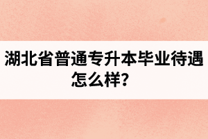 湖北省普通專升本畢業(yè)待遇怎么樣？