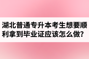 湖北普通專升本考生想要順利拿到畢業(yè)證應(yīng)該怎么做？