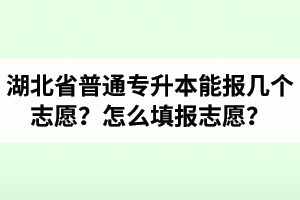 湖北省普通專升本能報幾個志愿？怎么填報志愿？