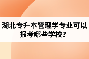 湖北專升本管理學(xué)專業(yè)可以報考哪些學(xué)校？屬于管理學(xué)的專業(yè)有哪些？