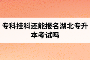 ?？茠炜七€能報名湖北專升本考試嗎？在哪里能獲取最新的專升本資訊？