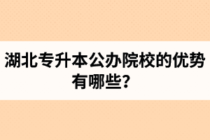 湖北專升本公辦院校的優(yōu)勢有哪些？為什么大家都想報公辦學(xué)校？