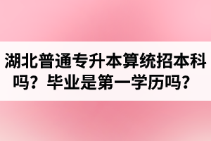 湖北普通專升本算統(tǒng)招本科嗎？專升本學(xué)歷是第一學(xué)歷嗎？