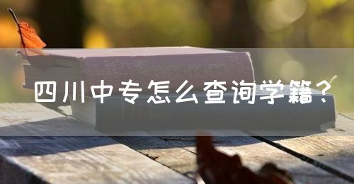 四川中專怎么查詢學(xué)籍？(圖1)