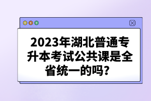 2023年湖北普通專升本考試公共課是全省統(tǒng)一的嗎？