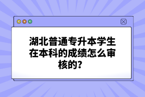 湖北普通專升本學生在本科的成績怎么審核的？