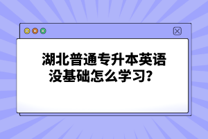 湖北普通專升本英語沒基礎(chǔ)怎么學(xué)習(xí)？