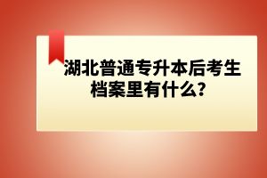 湖北普通專升本后考生檔案里有什么？