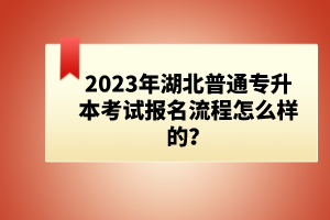 2023年湖北普通專升本考試報名流程怎么樣的？