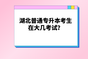 湖北普通專升本考生在大幾考試？