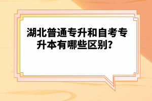 湖北普通專升和自考專升本有哪些區(qū)別？