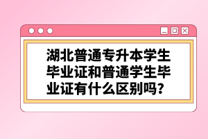 湖北普通專升本學(xué)生畢業(yè)證和普通學(xué)生畢業(yè)證有什么區(qū)別嗎？