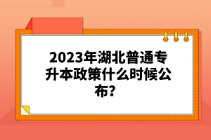 2023年湖北普通專升本政策什么時候公布？