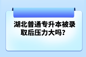 湖北普通專升本被錄取后壓力大嗎？