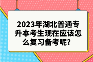 2023年湖北普通專升本考生現(xiàn)在應(yīng)該怎么復(fù)習(xí)備考呢？