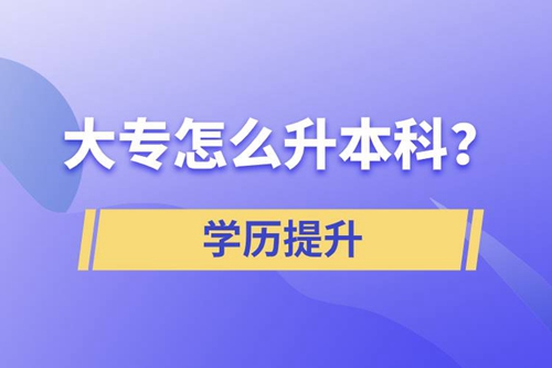 大專怎么升本科？