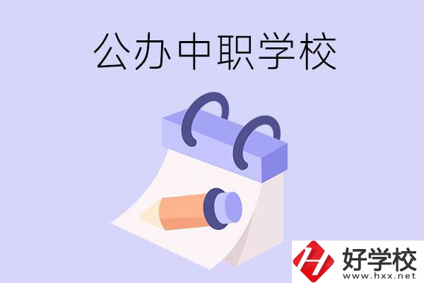 湖南公辦中職學校有哪些辦學規(guī)模比較大的？