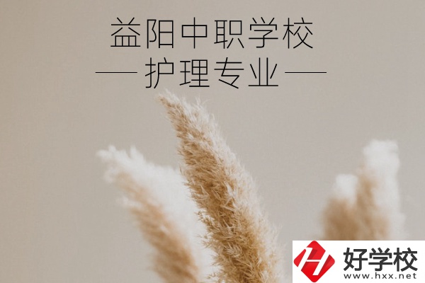 益陽護(hù)理專業(yè)的中職學(xué)校有哪些？需要哪些要求？