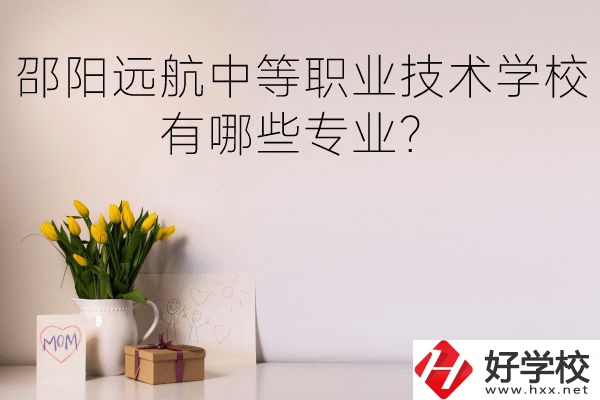 邵陽遠航中等職業(yè)技術學校有哪些專業(yè)？