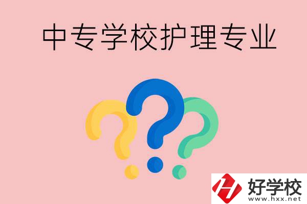 湖南的公辦中專學(xué)校哪些可以學(xué)護(hù)理專業(yè)？