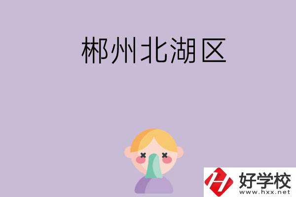 郴州北湖區(qū)有哪些學校？