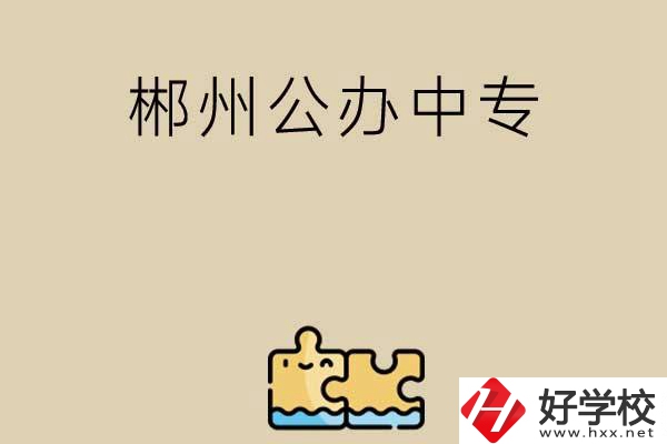 郴州公辦中專有哪些開設(shè)了電子商務(wù)專業(yè)？