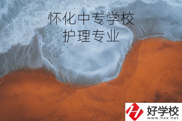 懷化有學(xué)護(hù)理專業(yè)的中專學(xué)校嗎？