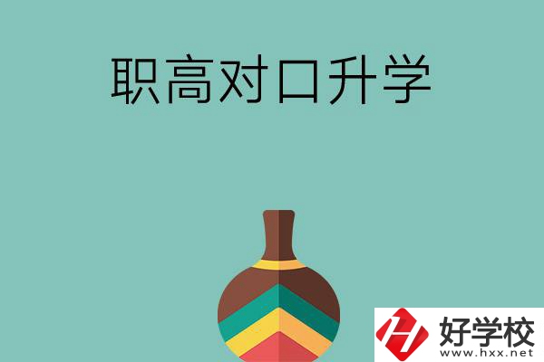 湖南職高對(duì)口升學(xué)可以考哪些大專？