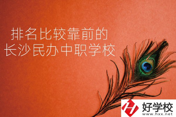 長(zhǎng)沙哪些民辦中職學(xué)校排名比較靠前？