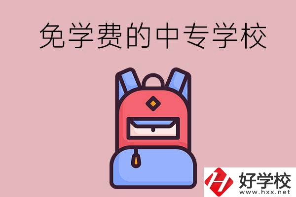 郴州市的中專哪些是免學(xué)費(fèi)的？