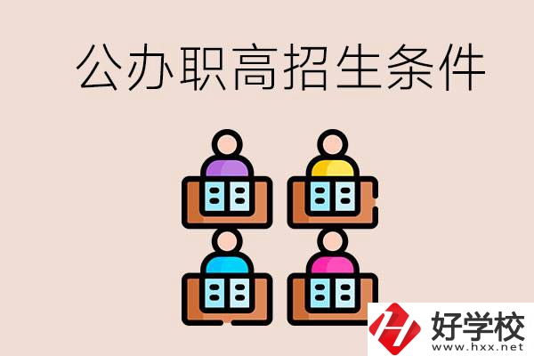 邵陽市有哪些公辦職高？學校的招生條件是什么？