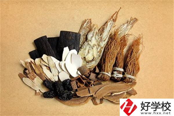 在湘西學(xué)中草藥栽培怎么樣？開設(shè)此專業(yè)的學(xué)校有哪些？