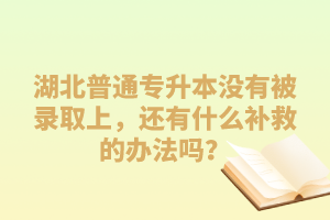 湖北普通專升本沒有被錄取上，還有什么補救的辦法嗎？