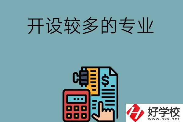 湖南的中職學(xué)校開設(shè)較多的專業(yè)是哪些？