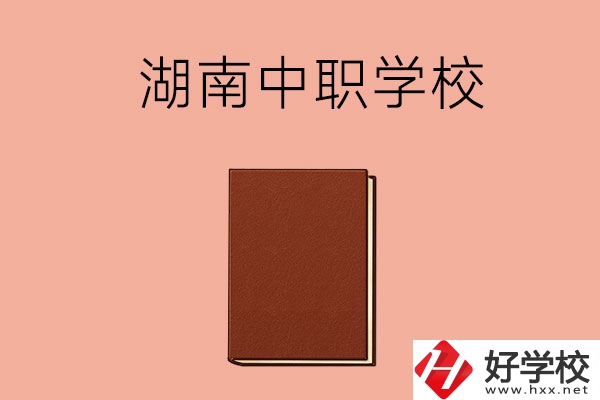 湖南有哪些就業(yè)率比較高的中職學(xué)校？