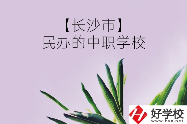 長沙市有哪些民辦的中職學(xué)校？