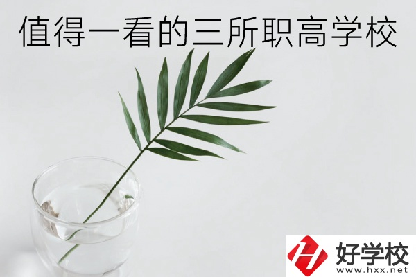 湖南有什么好的職高學(xué)校？這3所學(xué)校值得一看！